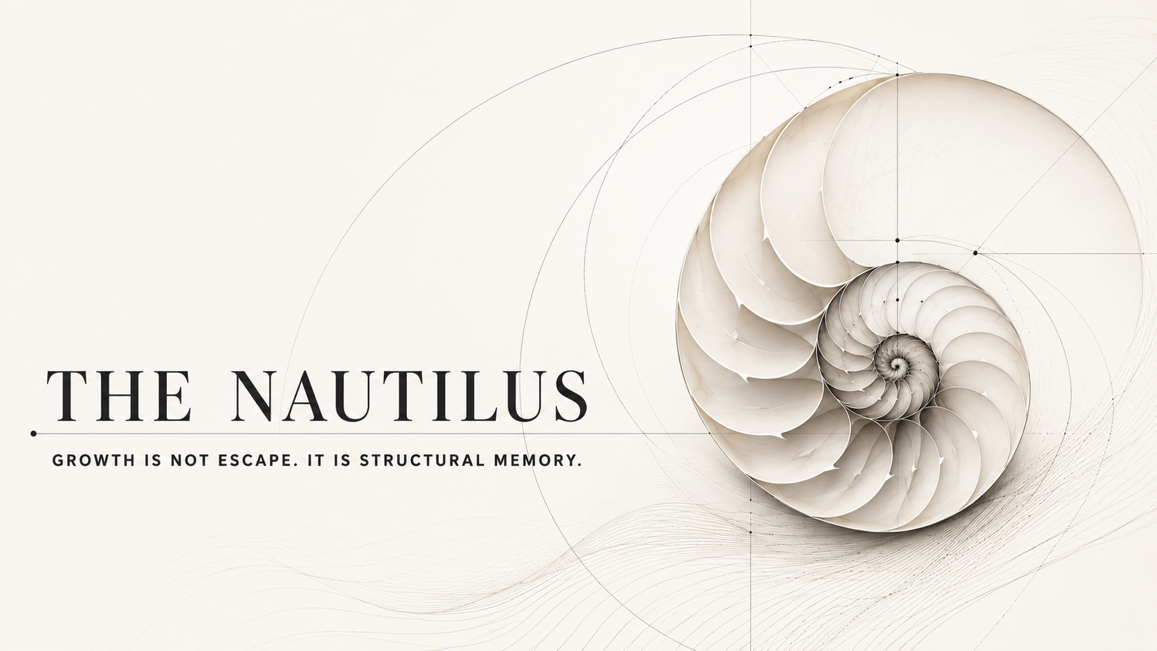 An abstract nautilus shell rendered in soft geometric lines against a pale background.