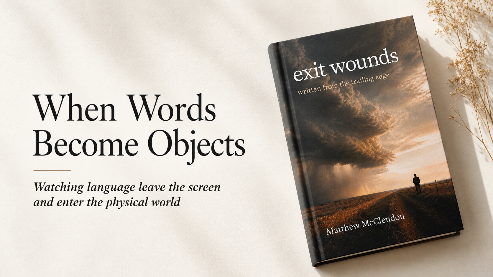 A hardcover book resting in natural light.